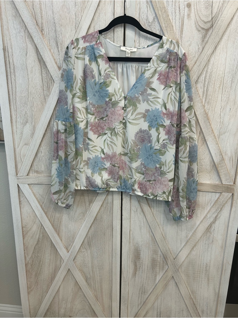 Sheer Floral V-Neck Blouse in Pastel Blue & Pink